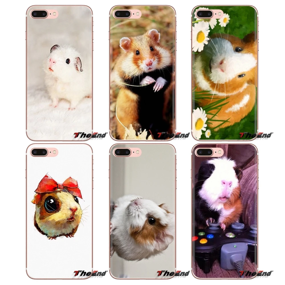 White guinea pig Animal Soft Transparent Shell Covers For iPod Touch Apple iPhone 4 4S 5 5S SE 5C 6 6S 7 8 X XR XS Plus MAX |