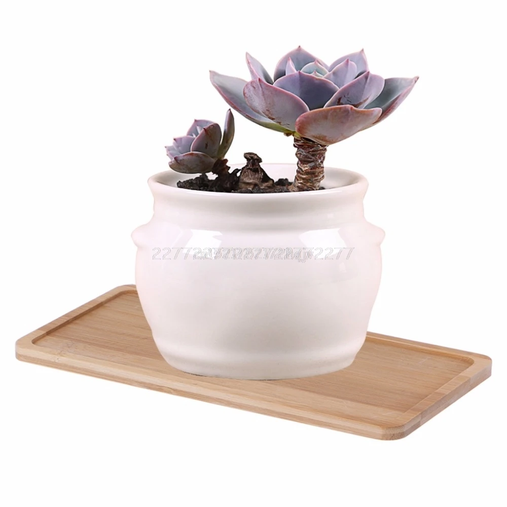 

Rectangle Shape Bamboo Saucer Plant Tray Mini Plant Flower Pot Stand Favor Succulent Pot Tray Simple Elegant Design A18 19