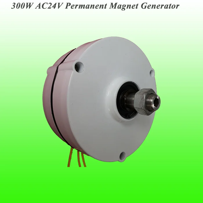 

2019 Hot Selling Low Rotate Speed NSK Bearings 300W AC24V Output Permanent Magnet Generator Wind Turbine Alternator Low RPM PMG