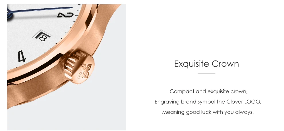 AGELOCER Швейцария люксовый бренд часы женские водостойкие нержавеющая сталь автоматические часы женские сапфиры объектив браслет часы