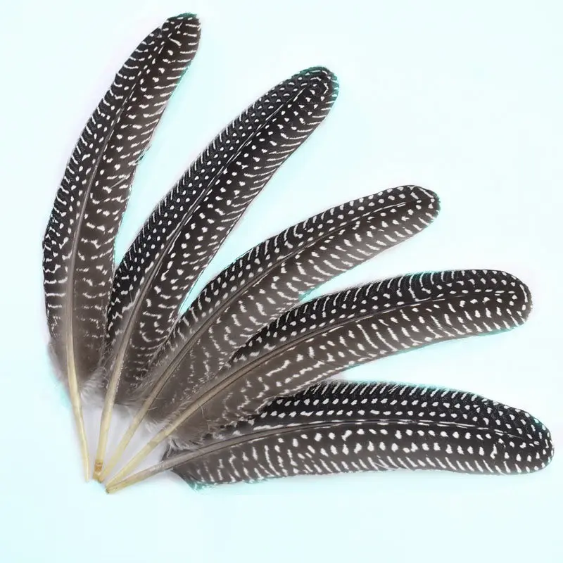 

10Pcs beautiful natural pheasant feathers crafts 15-20cm DIY colorful Chicken feathers party decorations Home wedding plumes