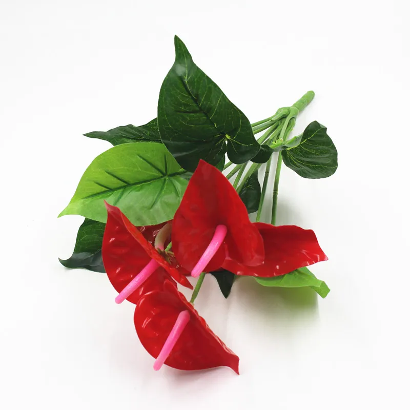 Anthurium Bonsai Indoor Plant Bonsai Flower Bonsai DIY Balcony Flower leaf plant For The Garden Home Anthurium Bonsai Indoor Plant Bonsai Flower Bonsai DIY Balcony Flower leaf plant For The Garden Home