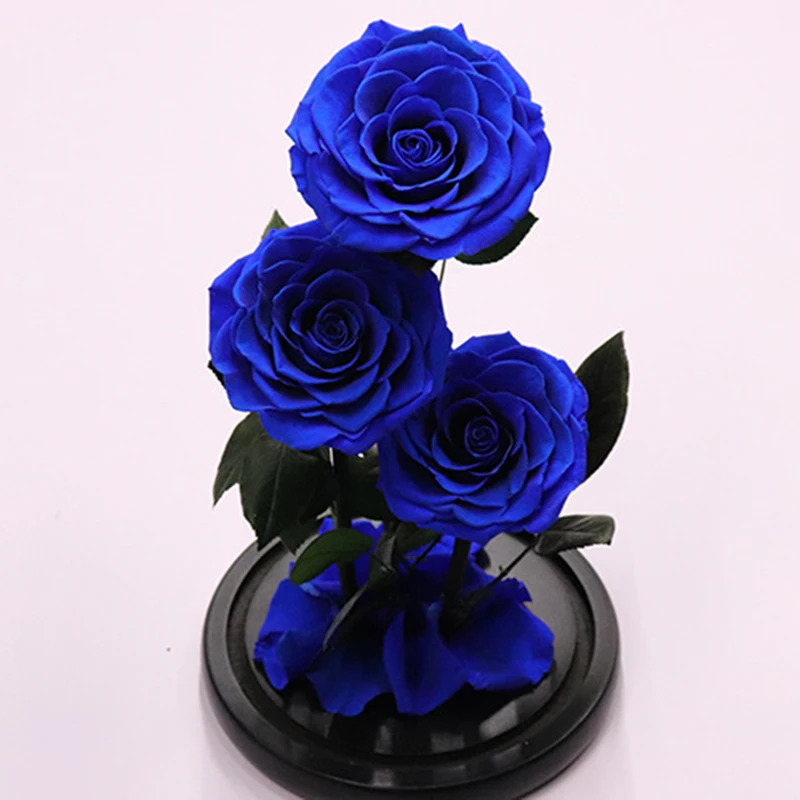 Вечные цветы сушеные цветы сохранены свежий синий цветок живая Роза стеклянный купол подарочная коробка синий