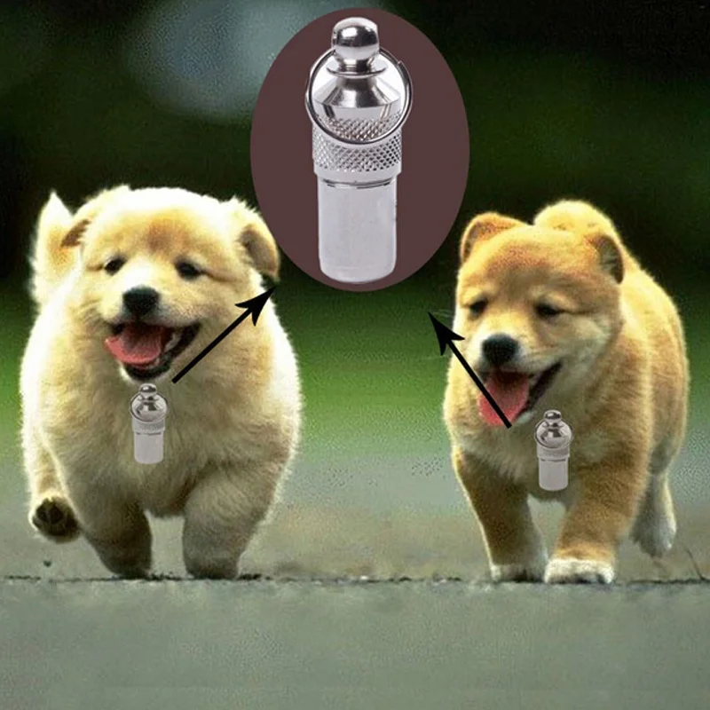 

New Silver/Golden Pet Cat Dog ID Tag for Dogs Cats Anti Lost Name Address Label Identity Tube Collar Pet Products