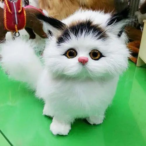 article plush cat kat soft animal 1_