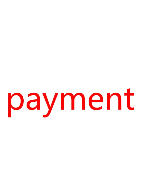 

Payment list for 2019 Version sticker R4ISDHC NEW R4 TF SD Card Adapter The Gold Pro White and Silver