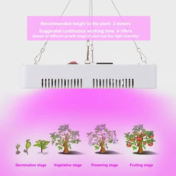 

300W Dimmable LED Plant Growth Light 15500LM Grow Light for Greenhouse Balcony Plant Factory Farm