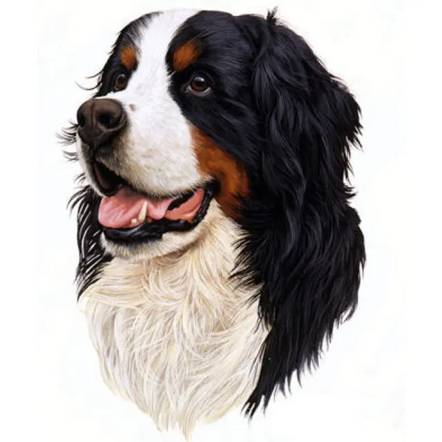 3D Diy Diamant Borduurwerk Schilderij Puppy Berner