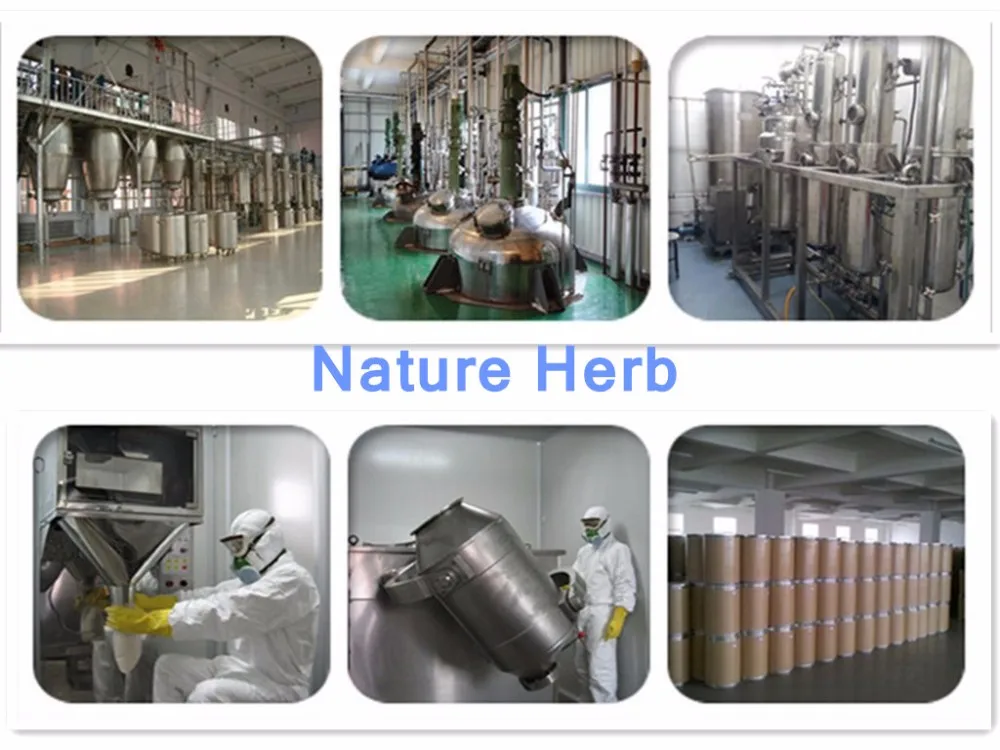 100% Natural Green Coffee Bean Extract Chlorogenic Acid