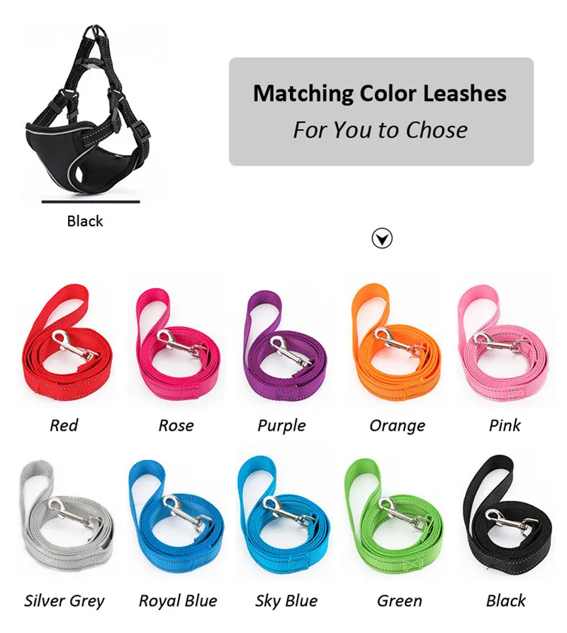 Dog Harness (39)