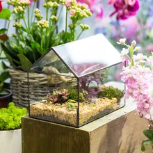 Tabletop House Shape Plant Glass Container Geometric Terrarium DIY Indoor Succulents Fern Moss Planter Display Flower Pot Bonsai