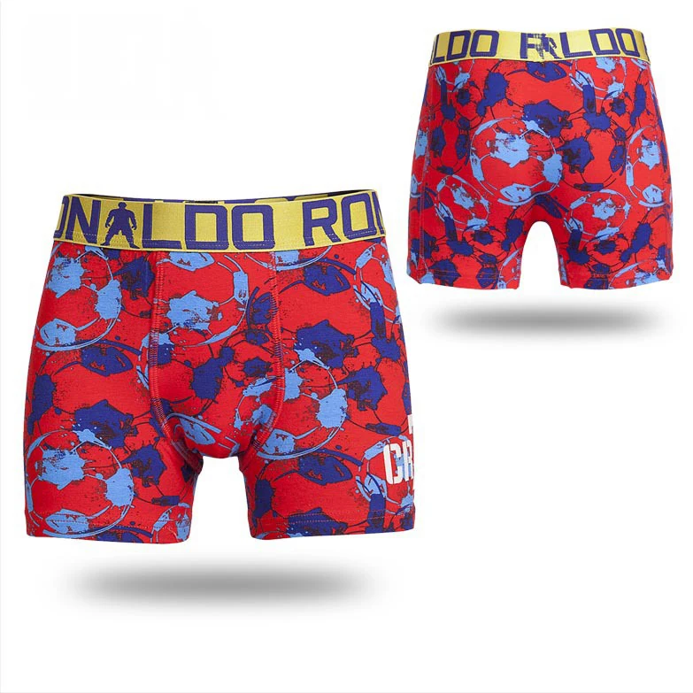 2pcs/lot Roupas Infantis 2017 Brand Kids Briefs Boys Underwear Boxer