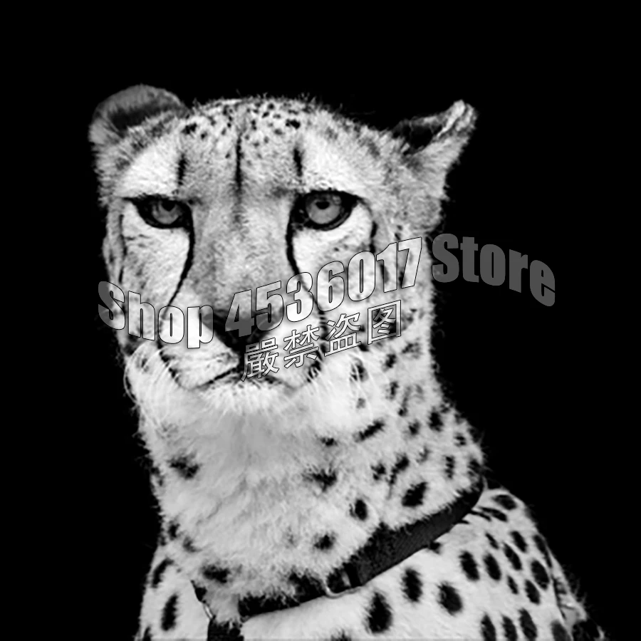 

5D DIY Diamond Painting Full Diamond Embroidery animal Cheetah Diamond Mosaic Cross Stitch Set Home Decor Arts & Crafts Supplies