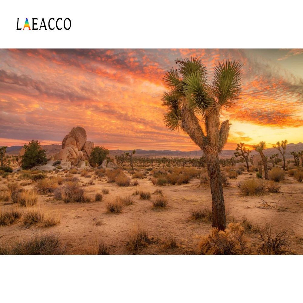 

Laeacco Nature Backgrounds Cactus Desert Sunset Shrub Stone Aurora Scenic Photographic Backdrops Photocall Photo Studio