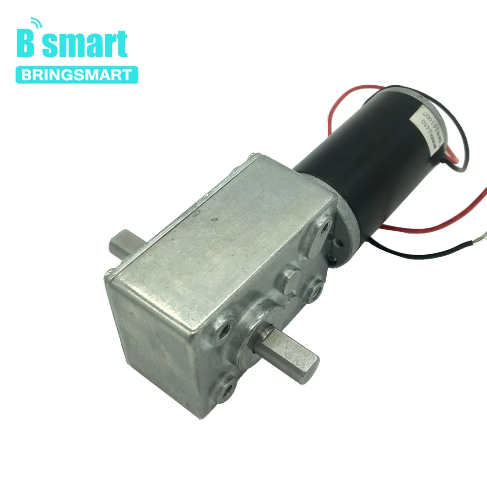 

Bringsmart Worm Gear Motor for Advertising Board 12V High Torque Micro Motor A58SW31ZYS DC Double Shaft 24V Reducer Reversible
