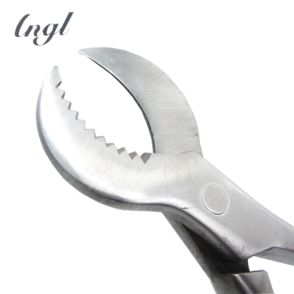 

Free shipping 20cm long dental plaster scissors Dental lab Gypsum scissors
