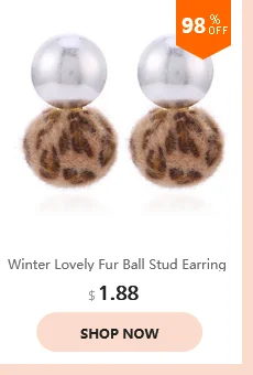 dianxiaobao