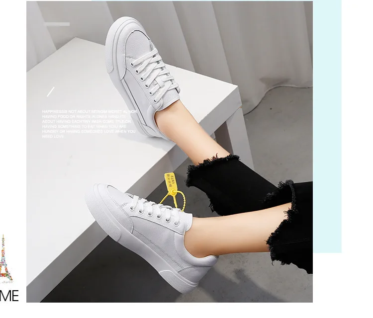  white_23.jpg