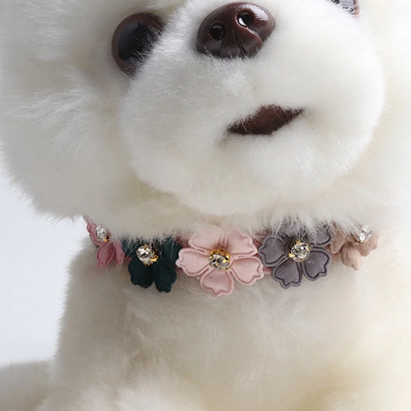 cute boy dog collars