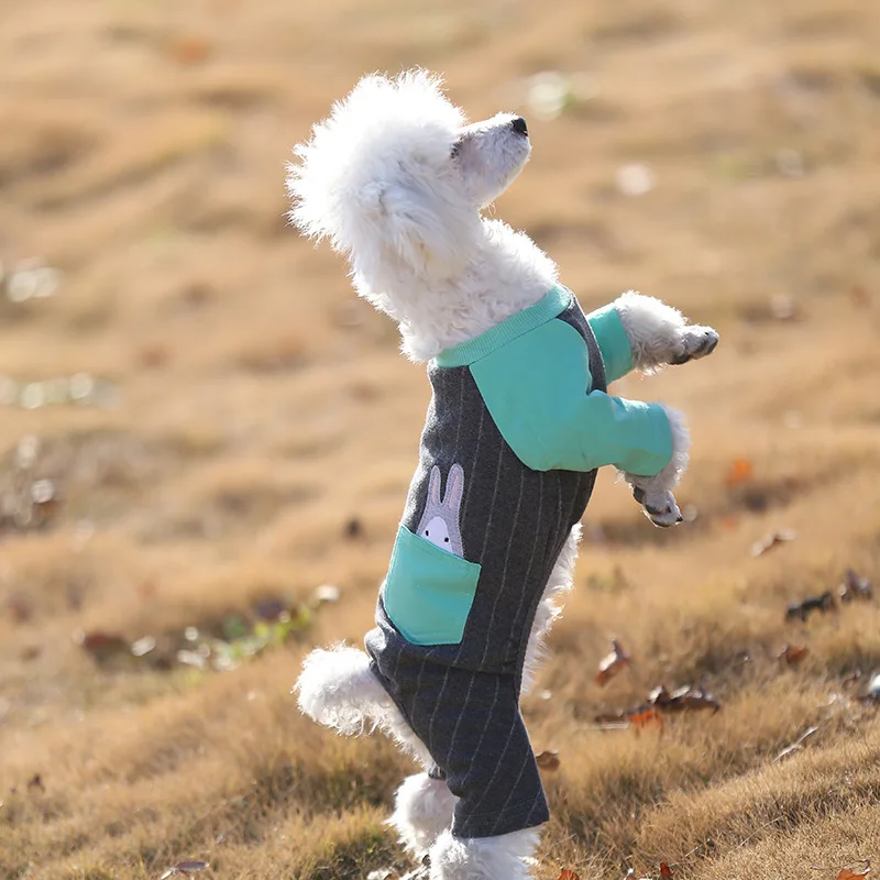 Dog Jumpsuit (11)