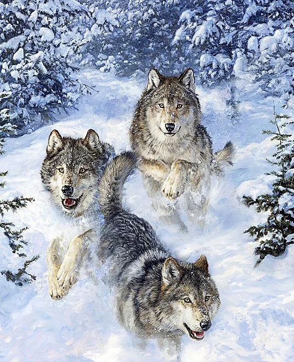 

5D Diamond embroidery animal diamond cross stitch Rubik's cube painting diy wolf