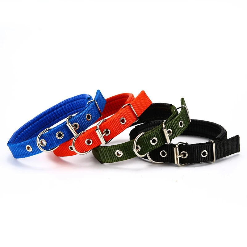 dog collar for dogs (4)