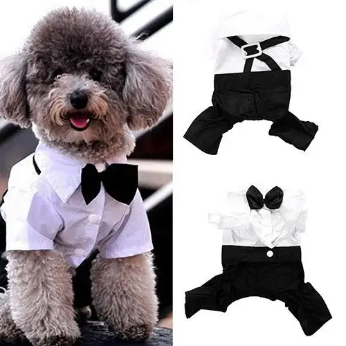 

Fashion Cotton Cat Dog T-shirt Vest Puppy Clothing Chihuahua Yorkshire Shirts Pets Product Summer Pet Dog Clothes for Small Dogs