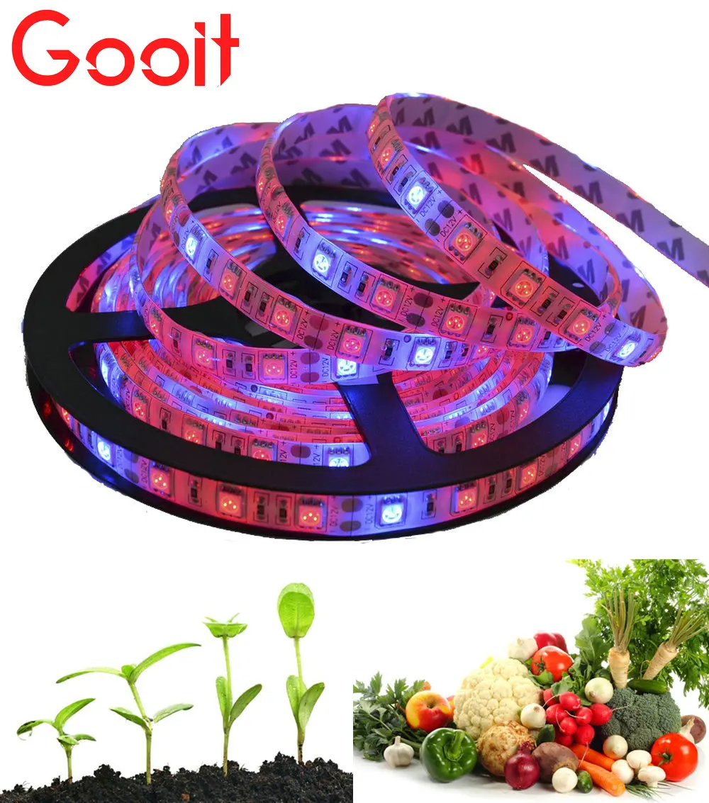 

LED Plant Grow Light 5050 LED Strip DC12V Red Blue 3:1 4:1 5:1 IP20 / IP65 Waterproof For Greenhouse Hydroponic Plant Growing