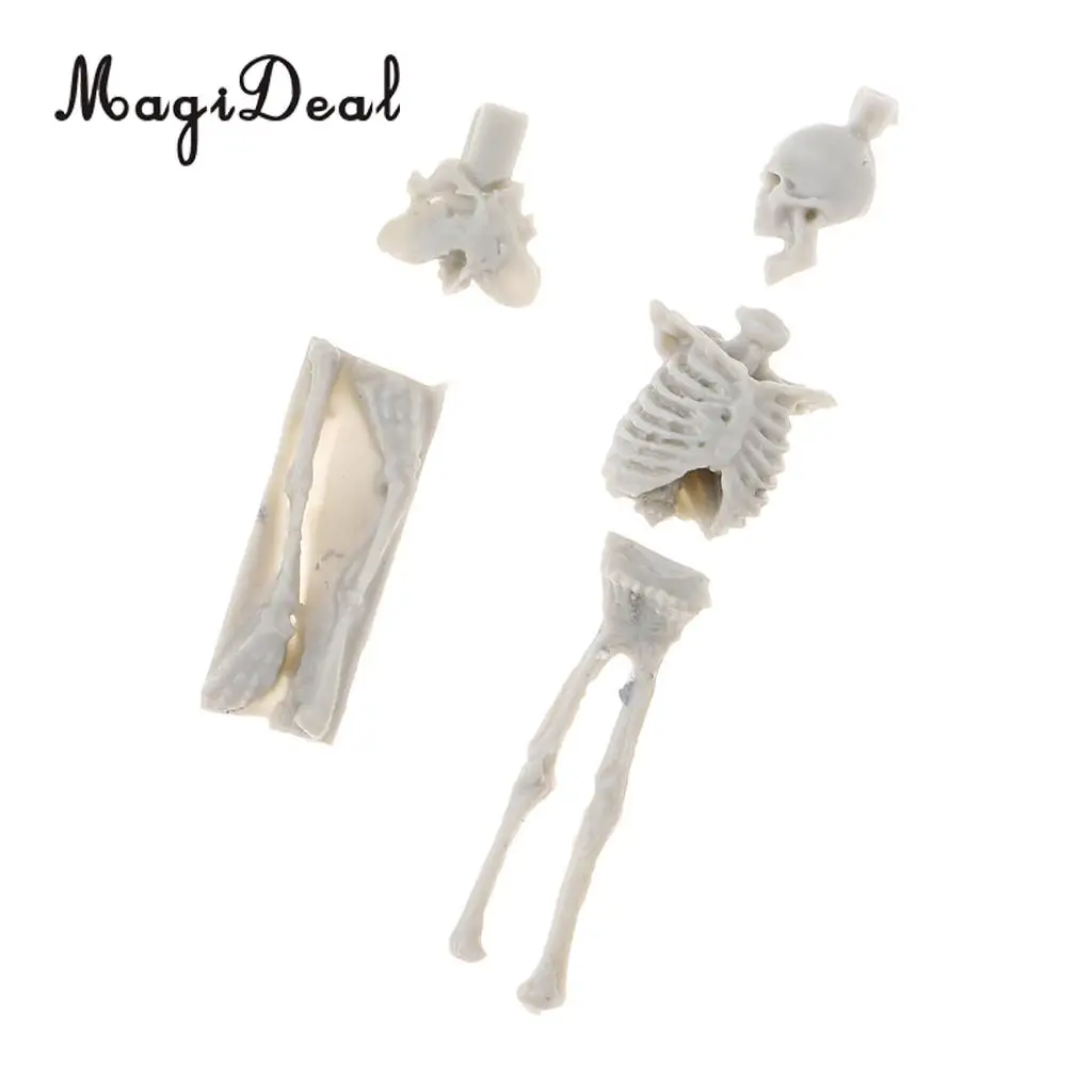 MagiDeal 1Set Unassembly Unpainted Kit 1/35 Scale Resin Skull Skeleton Mini Sand Table Scene for Handmade Art Craft Model Gift