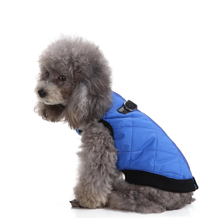 Зимняя Теплая Одежда для собак, мягкий жилет с хлопковой подкладкой, костюм для маленьких собак, фиолетовое пальто, йоркширский терьер, чихуахуа, Тедди - Цвет: Синий