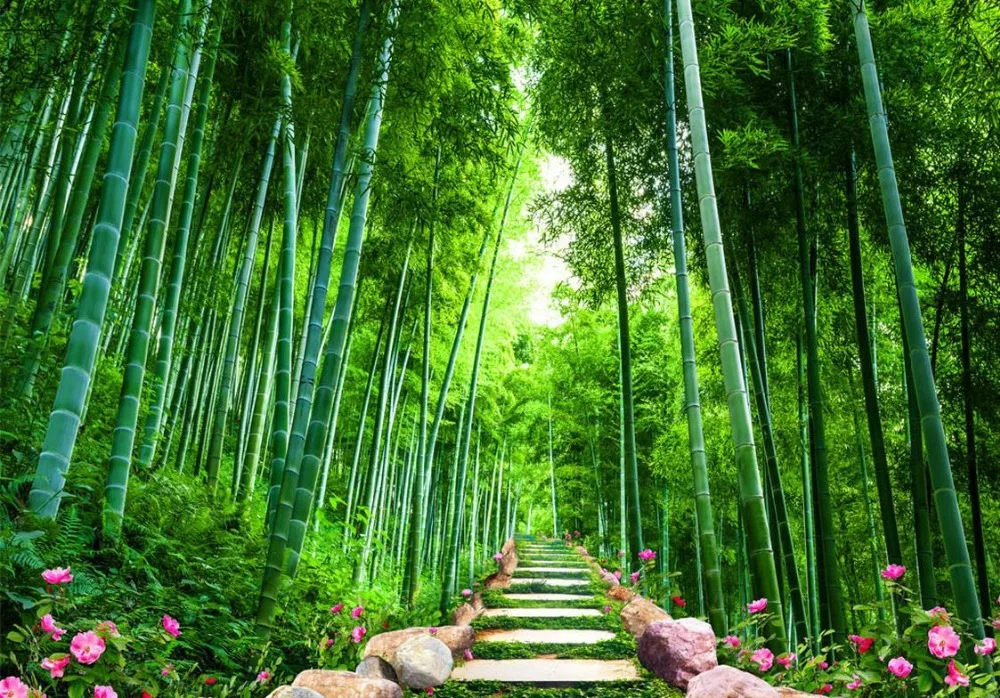 Wisata Bambu Lumajang Tempat Wisata Indonesia Wisata Bambu Lumajang Tempat Wisata Indonesia