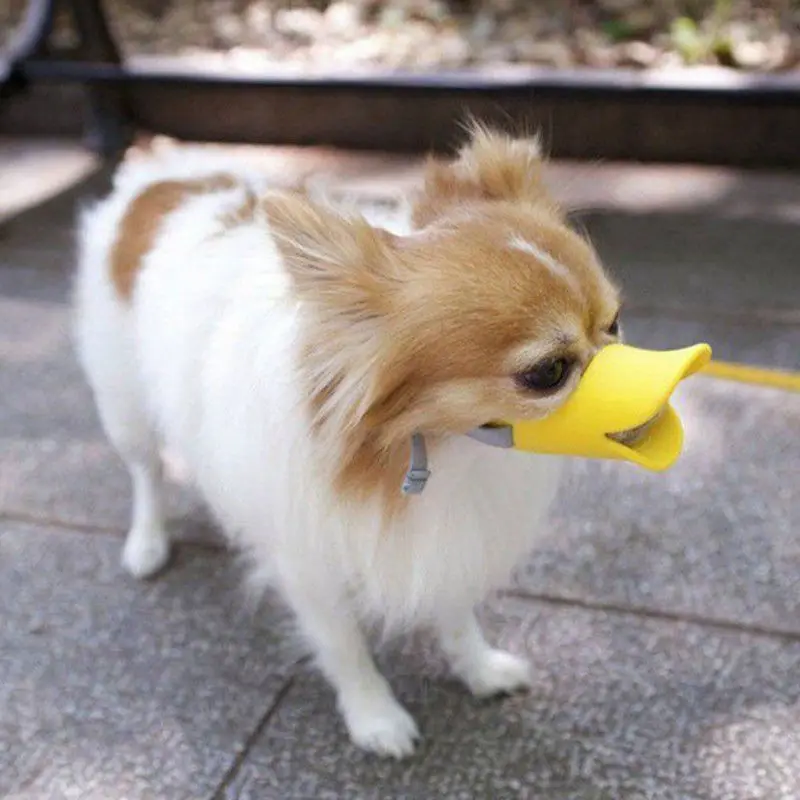 Puppy Pet Dog Muzzle Anti-Bite Bark Muzzle Quack Duck Bill Design Soft Silicone Stop Pet Dog Lick Wounds Mouth Cover Product