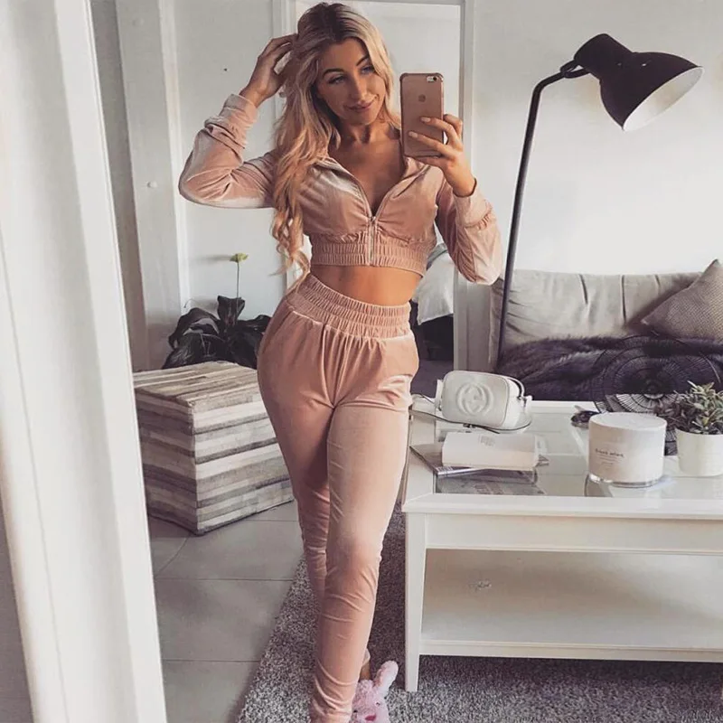 

BKLD New Fashion Pink Sweatsuits Women 2 Pieces Velvet Set Casual Long Sleeve Sweatshirt+Pants 2018 Warm Winter Velour Tracksuit