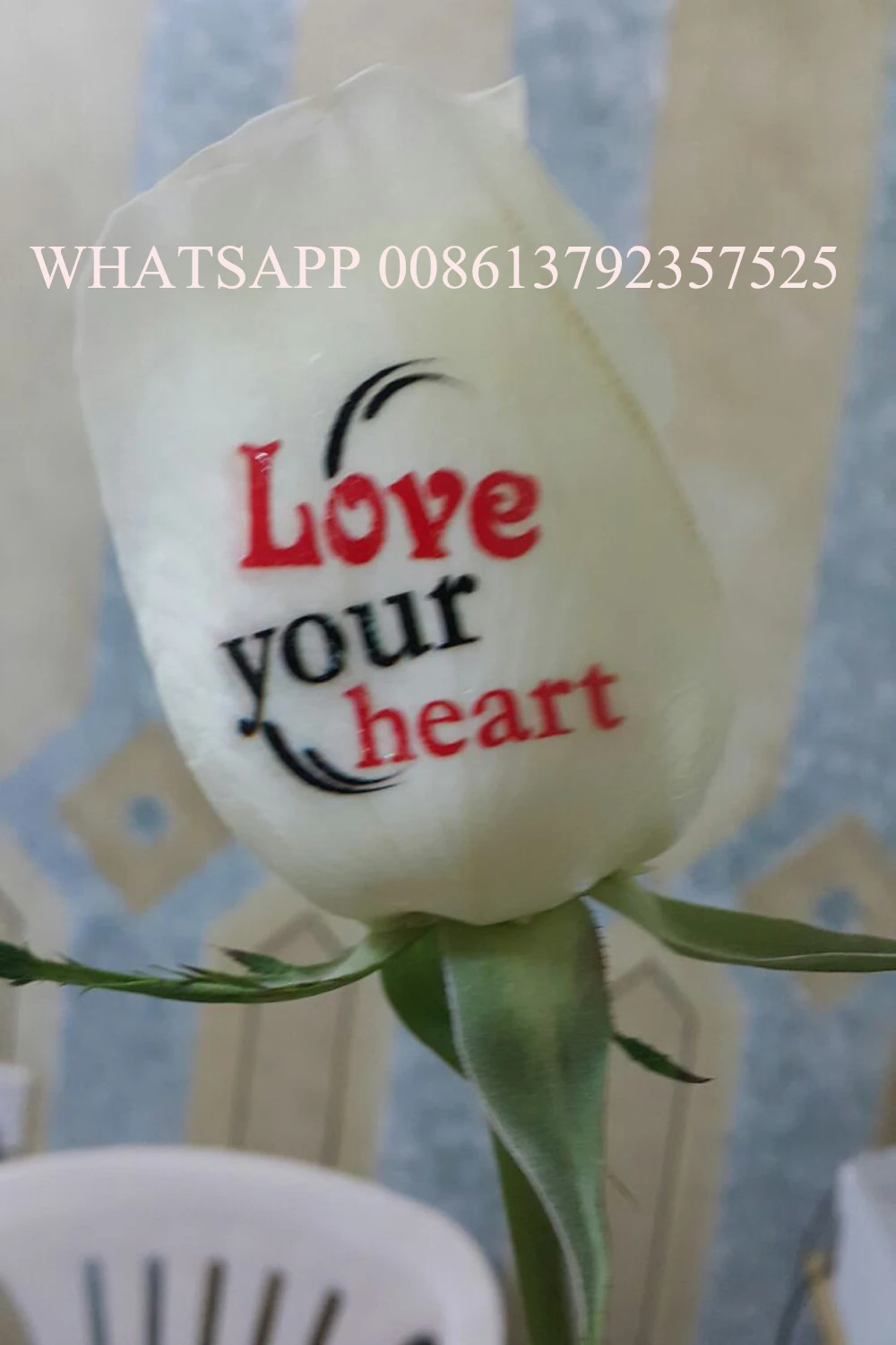  5 hand nails painting digital nail printing machine computer and touch screen nail and flower print