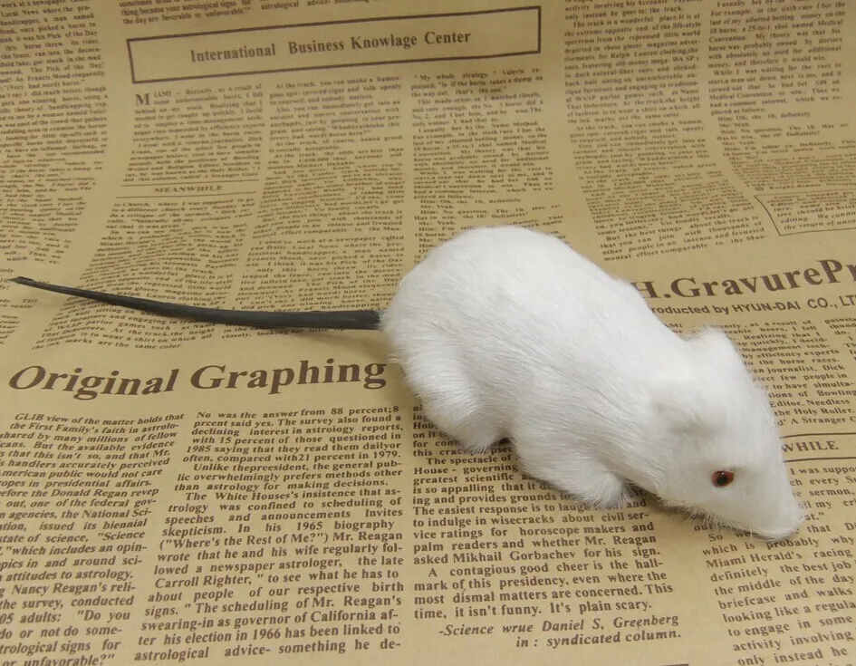 

cute Simulation mouse toy polyethylene&furs white mouse model gift about 10x5cm y0346