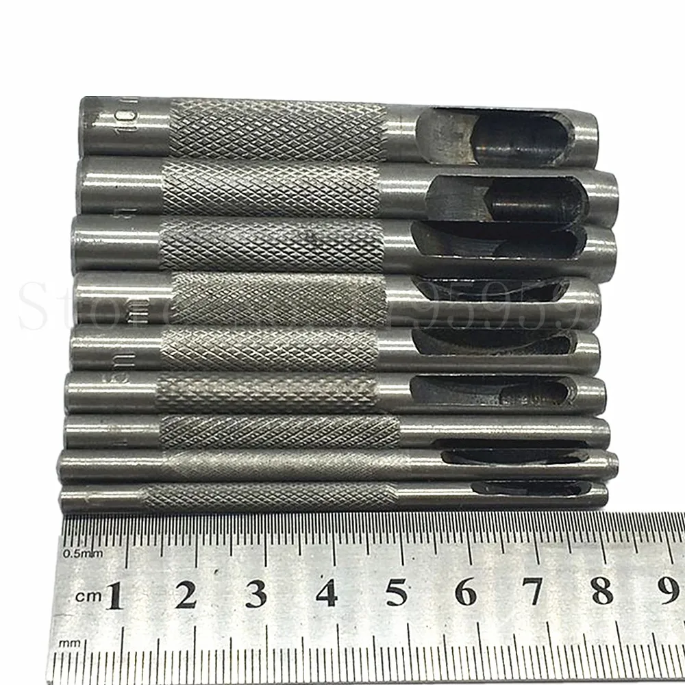 zt237 (5)_