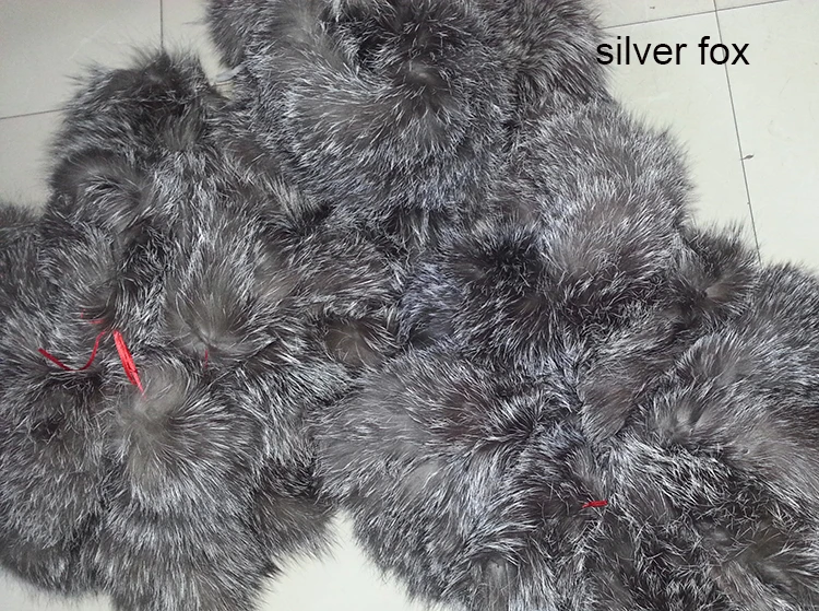 silver fox.jpg
