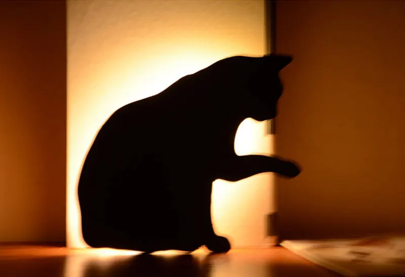 Light and Voice Sensor LED Dog Night Light Cute Cat Night Lamp Baby Nursery Lamp Battery Powered Wall Lamp For Home Decoration (3)