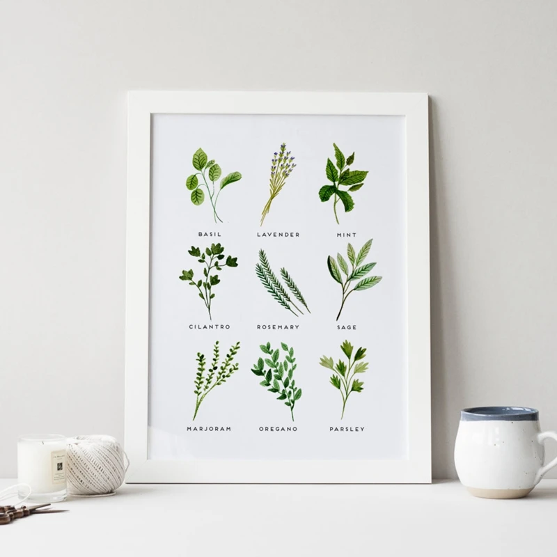 Herbs Wall Art Print