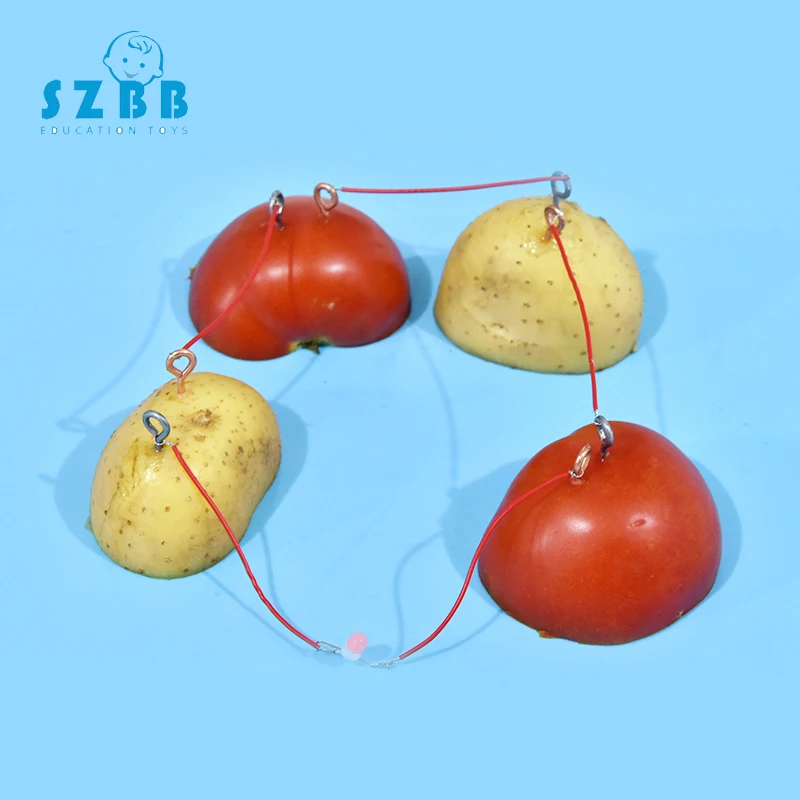 

SZ STEAM Model Toy Diy Vegetable Cola Fruit Battery Developing Intellectual STEM Toy Science Physics Experiments Birthday Gift