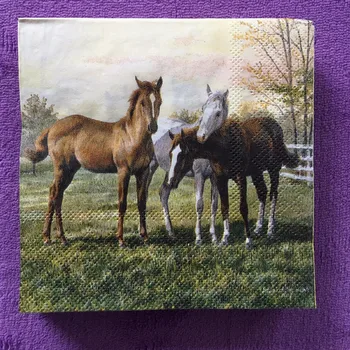 

25cm paper napkin tissue cute animal horse grassland handkerchief oil craft decoupage girl boy kid birthday party serviet