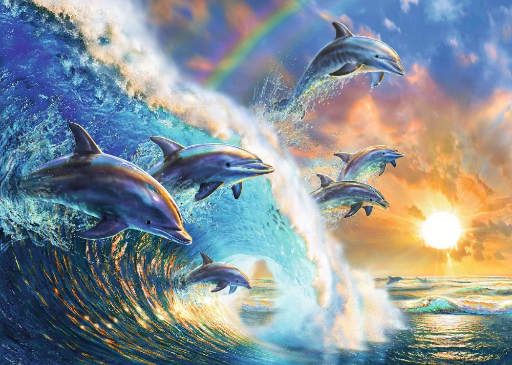 dancingdolphin - 