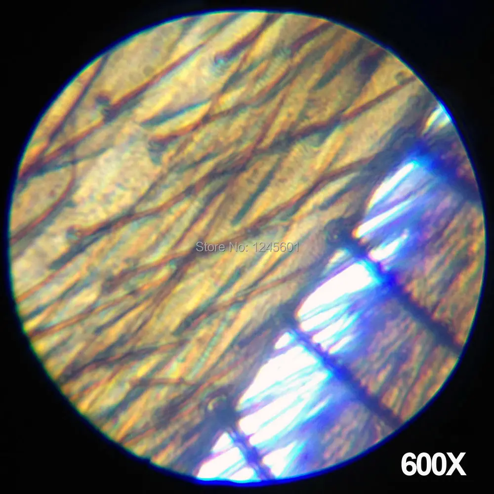 s-l1600[1].jpg