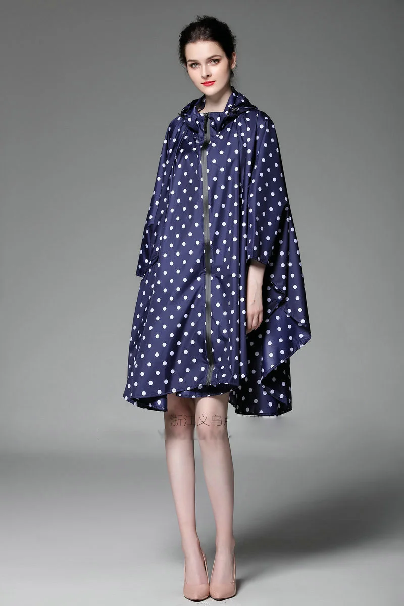 4563669636_829801940