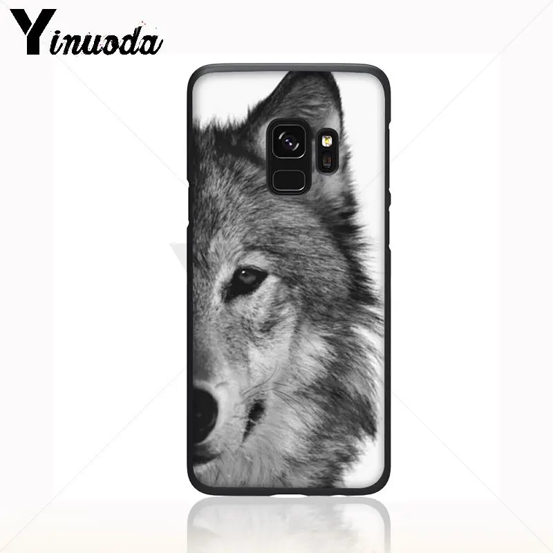 cool half Wolf face animal
