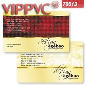 

Business card Template a7013 for Card Design ONLY