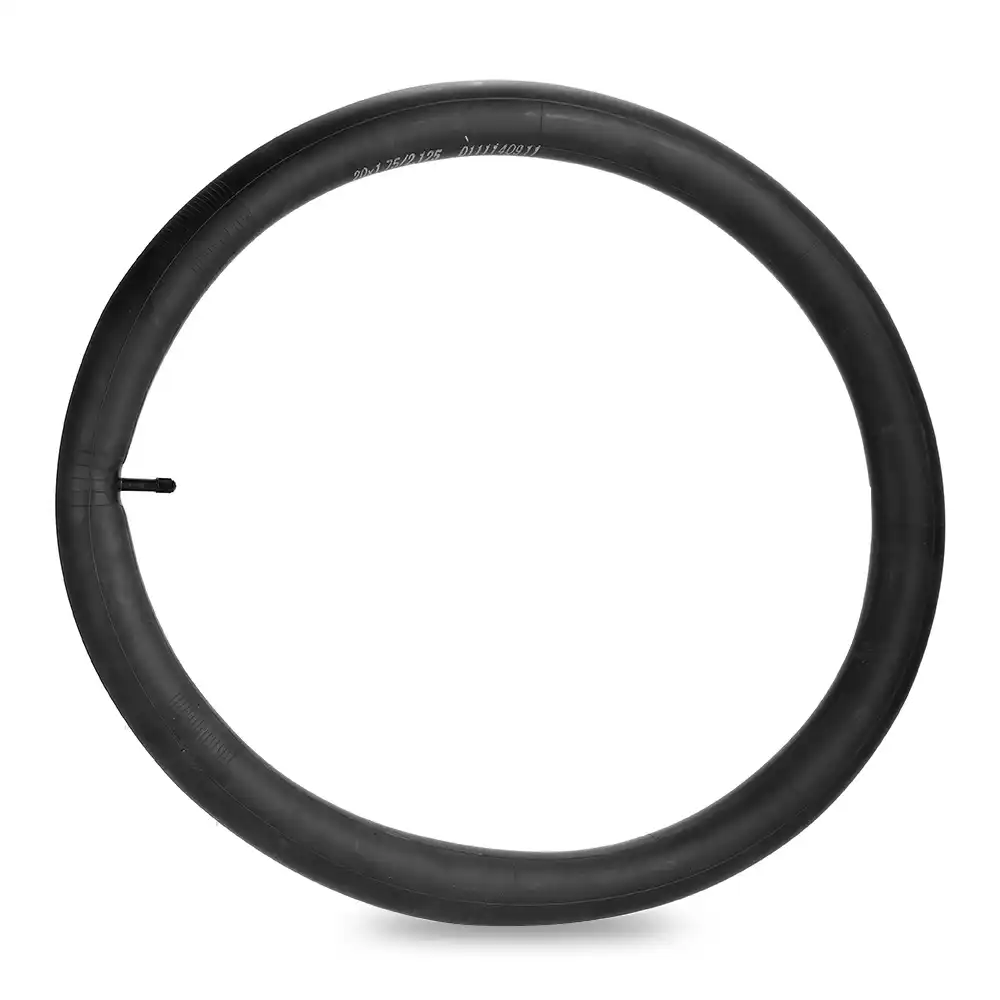 bicycle inner tube valve