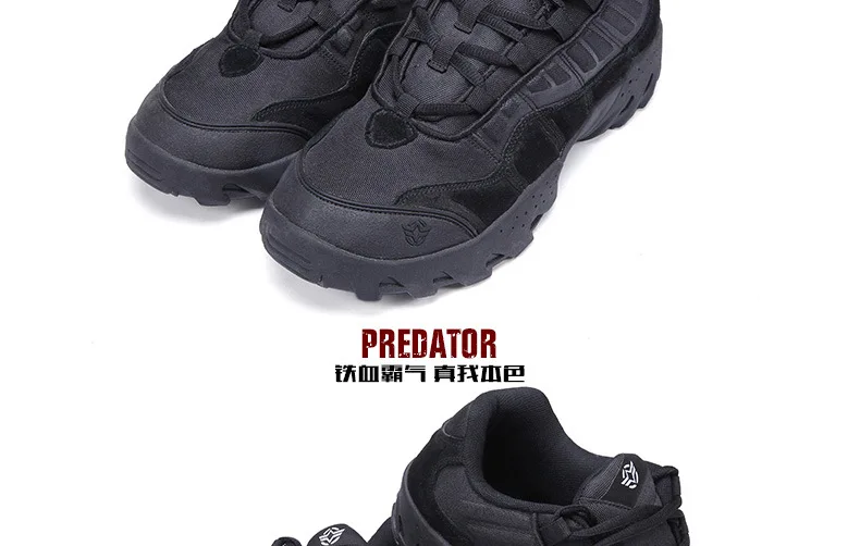 1948695960_1101723300