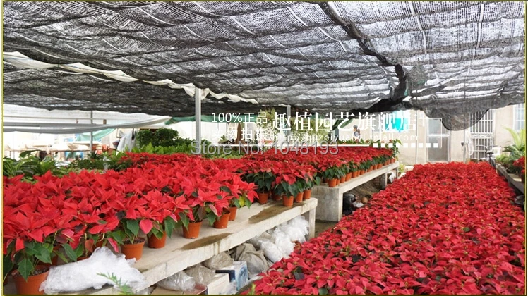 Plant gardening 50%sun-shade net Black shading 2*3 network Package side dozen buckle Prevent bask  greenhouse interior balcony