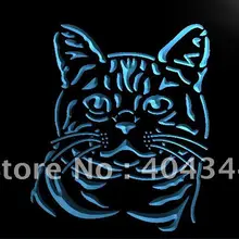 LB993-американский Короткошерстная Кошка Китти Pet света Вход